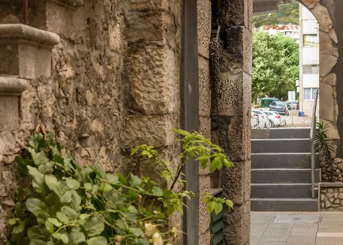 Ivana Daire Makarska